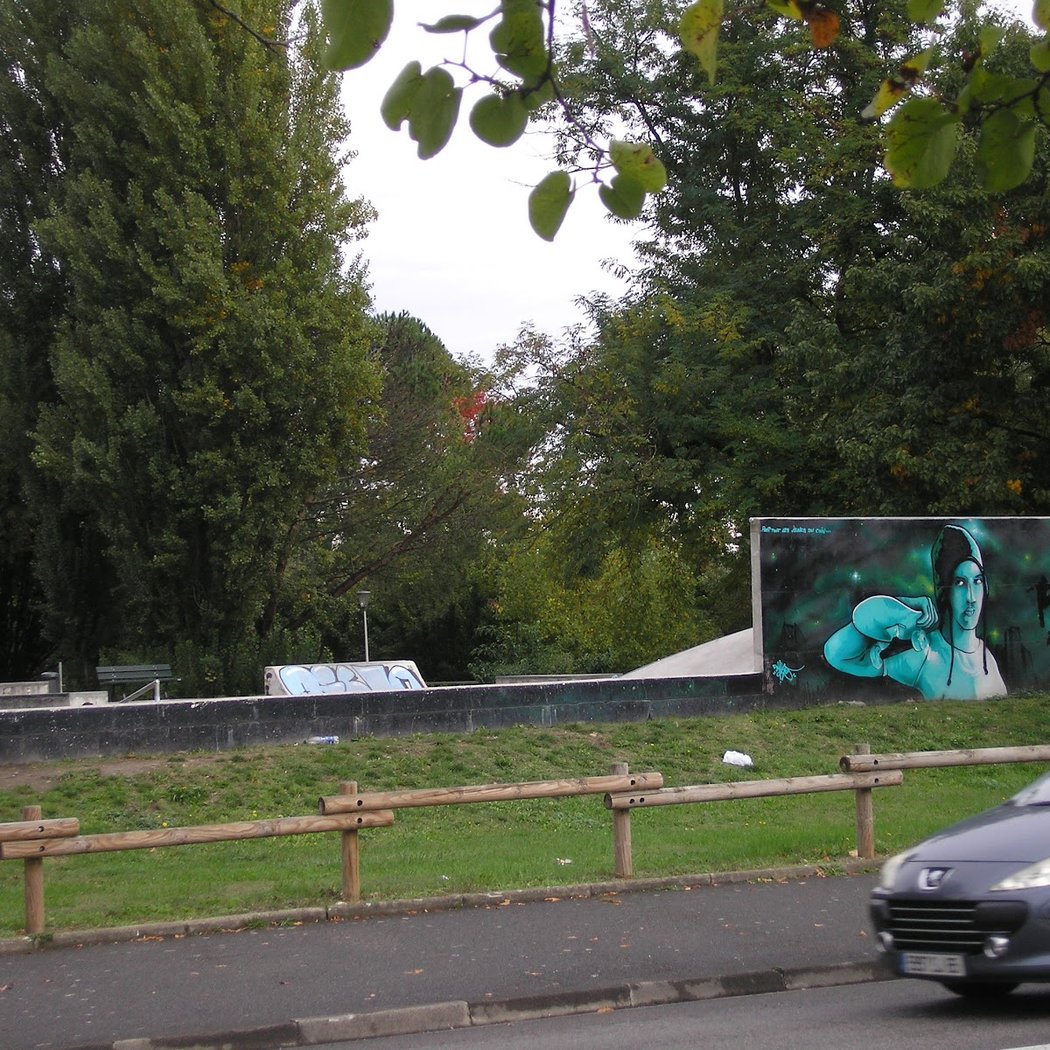 Skatepark Rolleurs BMX 2