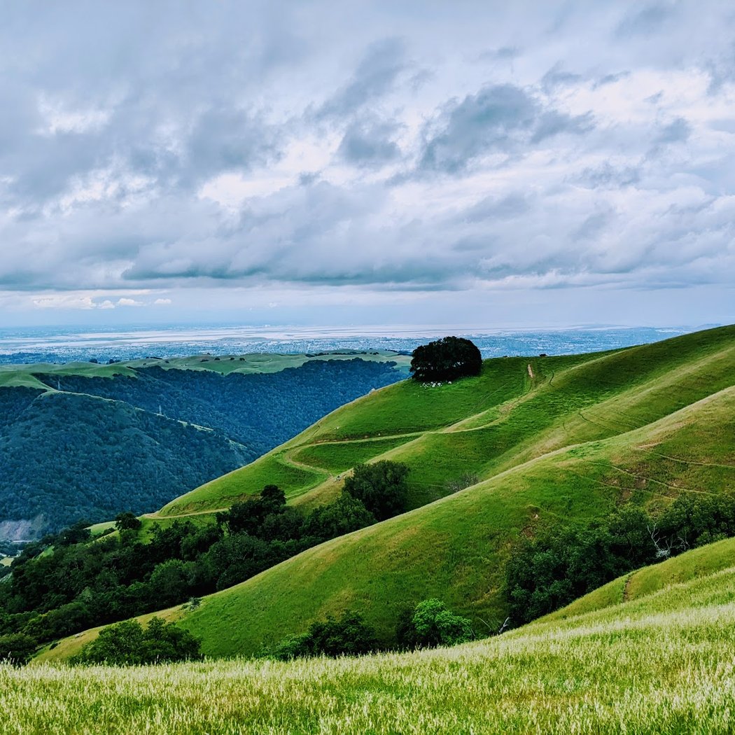 Sunol Ridge Trail 2