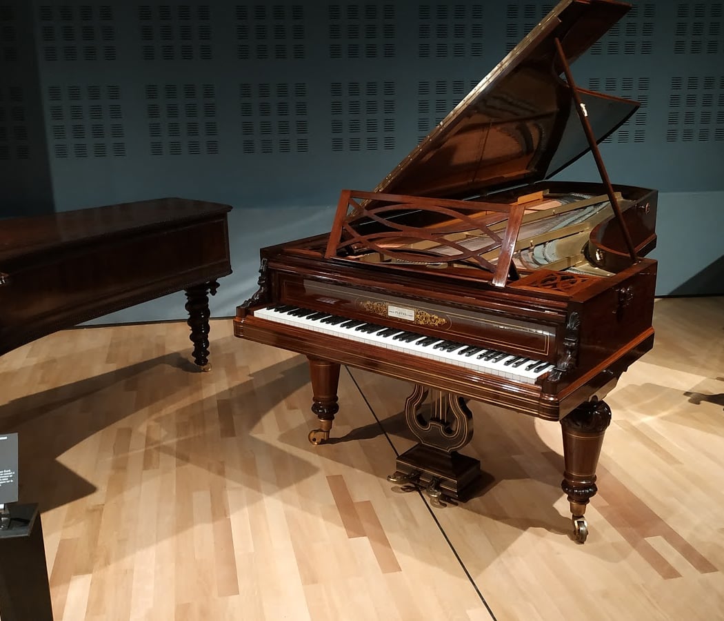 Musicien au Musée - Lucie de Saint Vincent 1