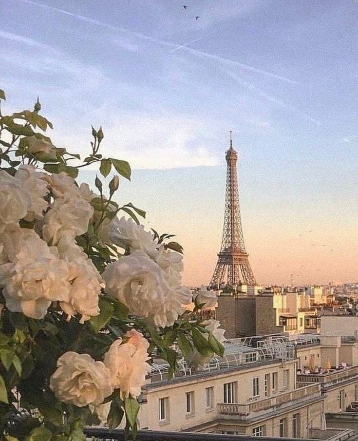 Bastille Day Cruise 2025 4