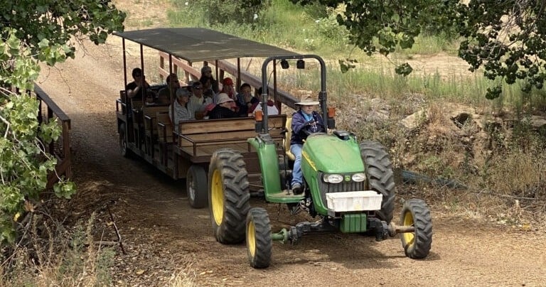 Field Trip Experience 1