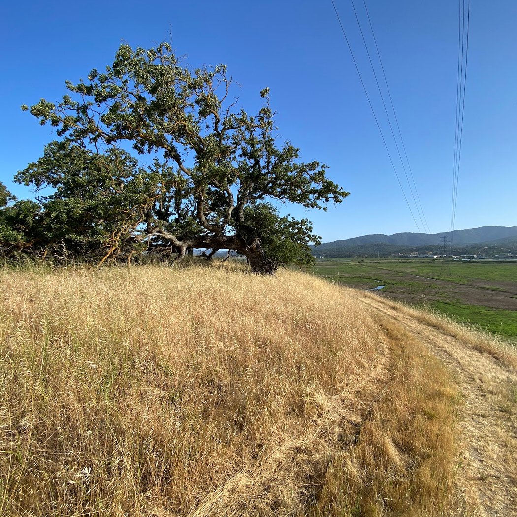 Deer Island Open Space 2