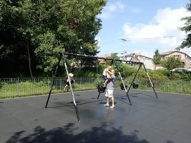 Bloomingdale Park Playground 2