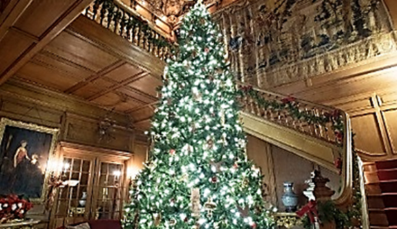 A Gilded Age Christmas 1