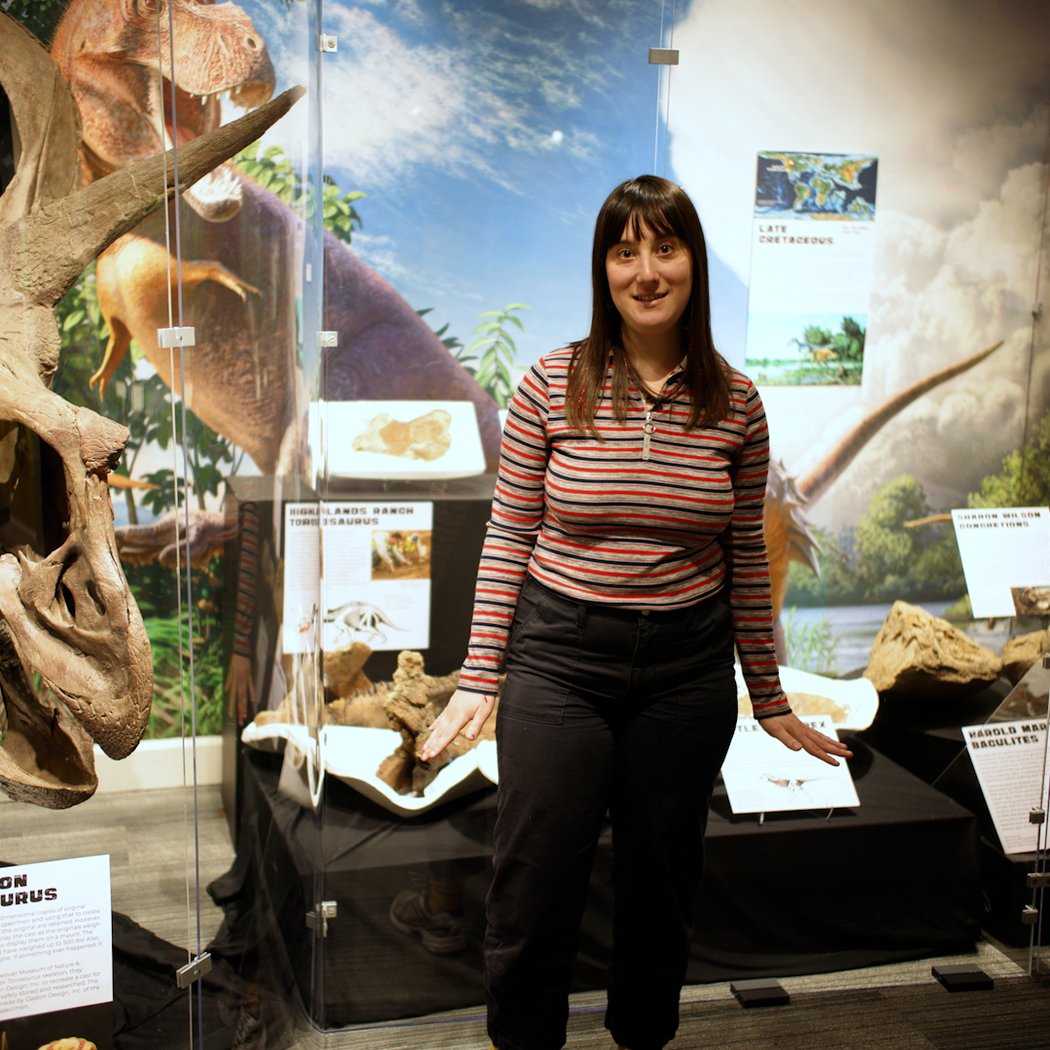 Prehistoric Aurora Exhibition 1
