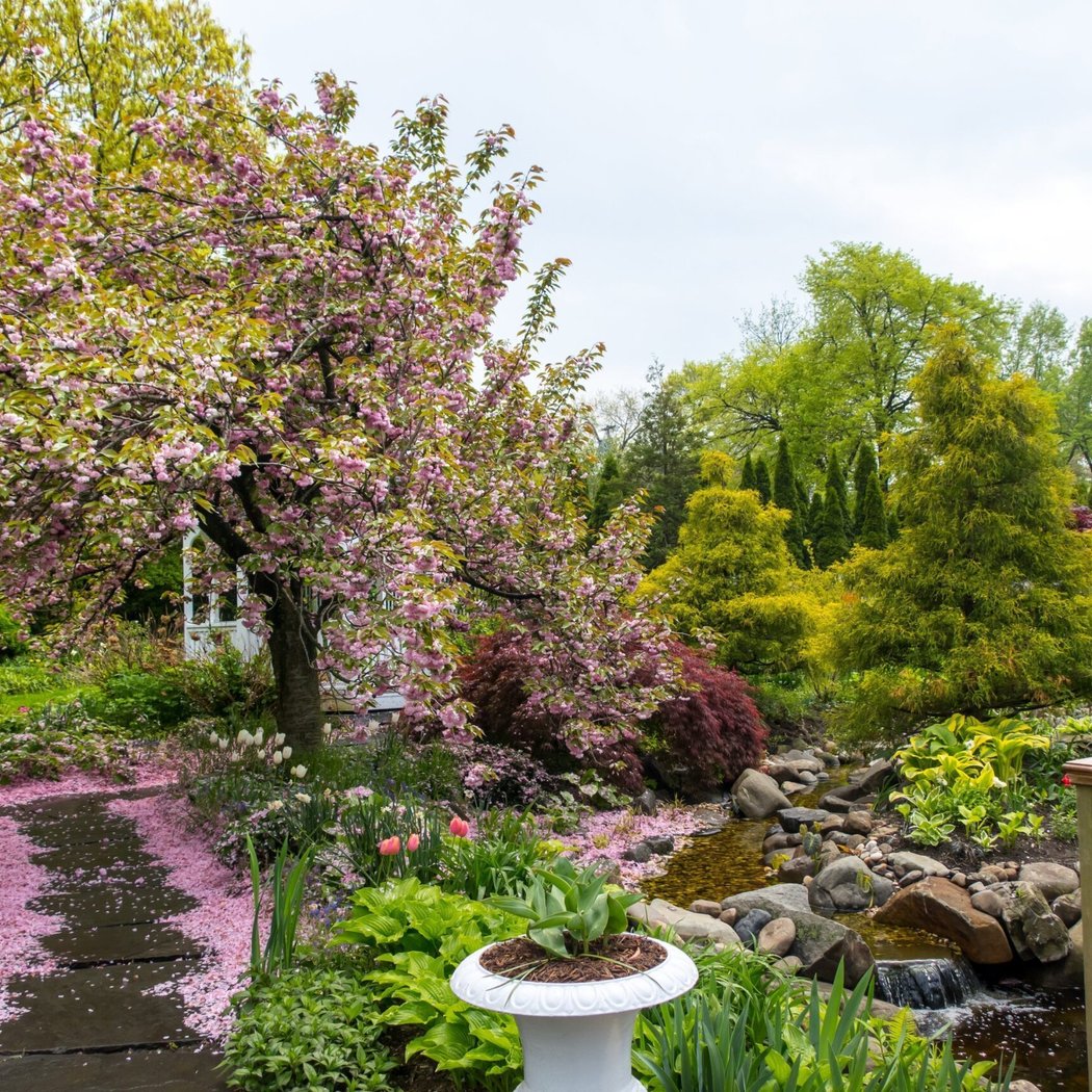Queens Botanical Garden 1