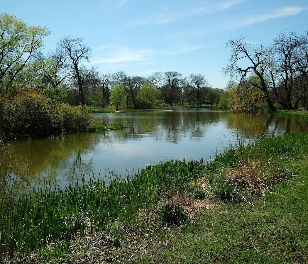 Washington Park Tree Walk 3