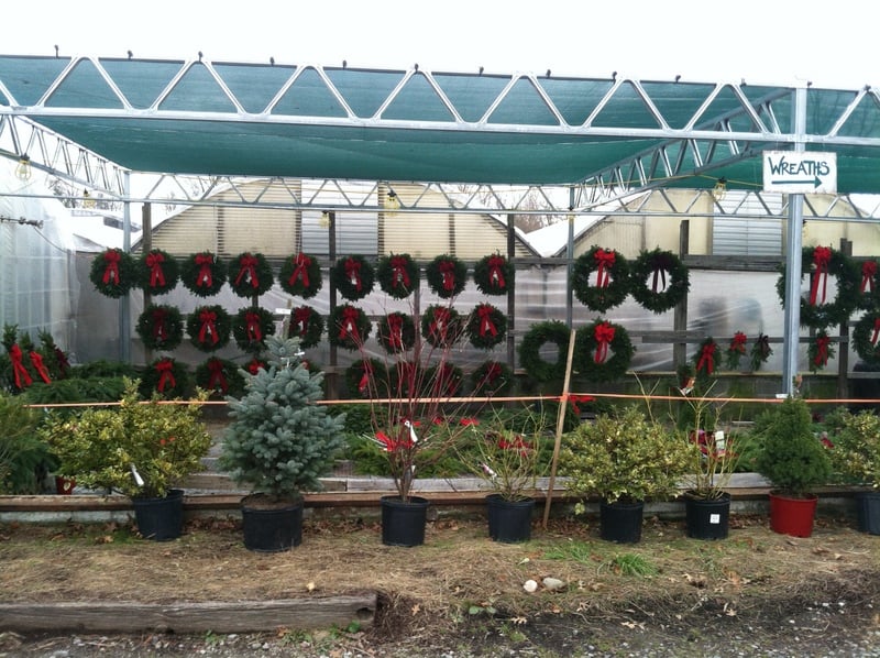 Sunny Garden Greenhouses 2