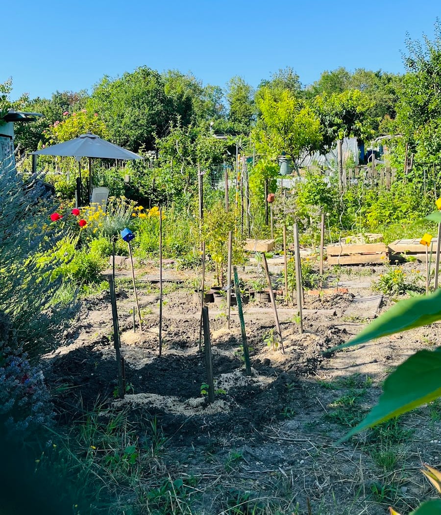 Jardins Ouvriers Des Vertus 3
