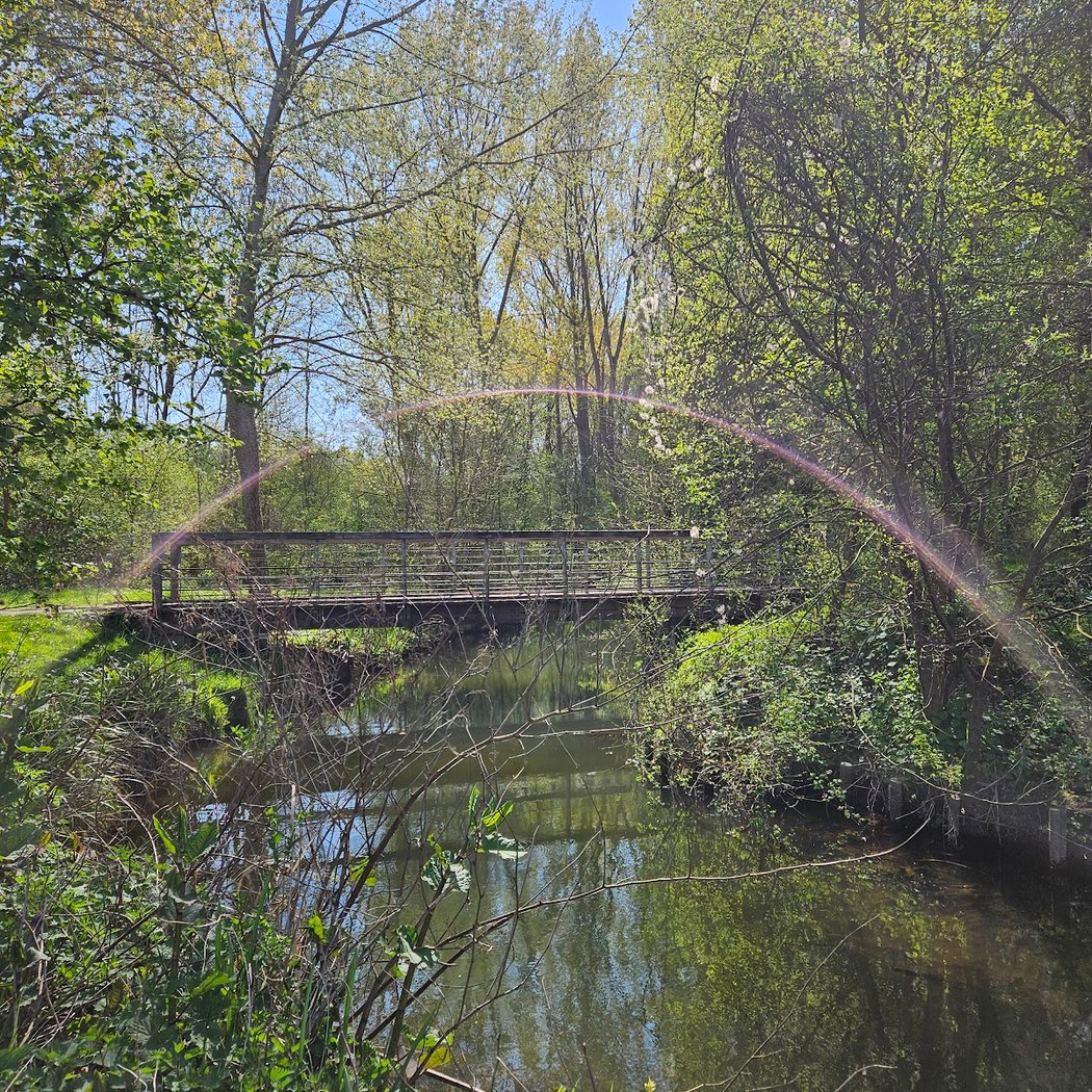 Réserve naturelle régionale des îles de Chelles 2