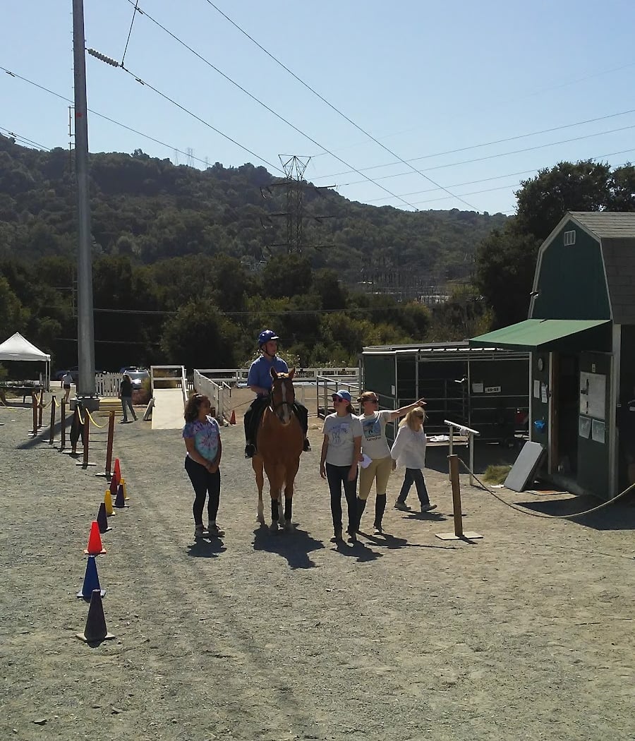 Xenophon Therapeutic Riding 3