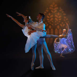 Ballet of Lights: Sleeping Beauty in a Sparkling Show 2