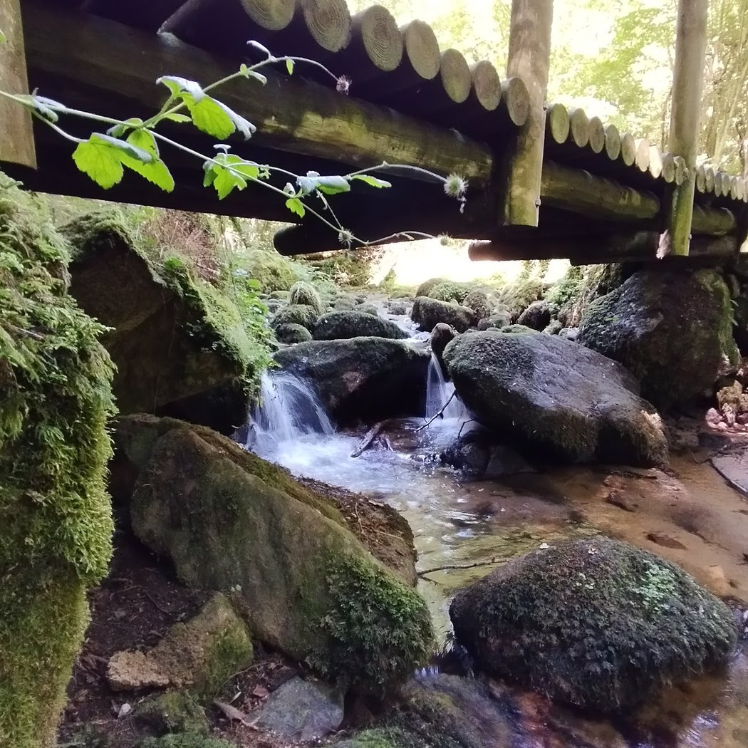 Cascade de l'Ecureuil 3