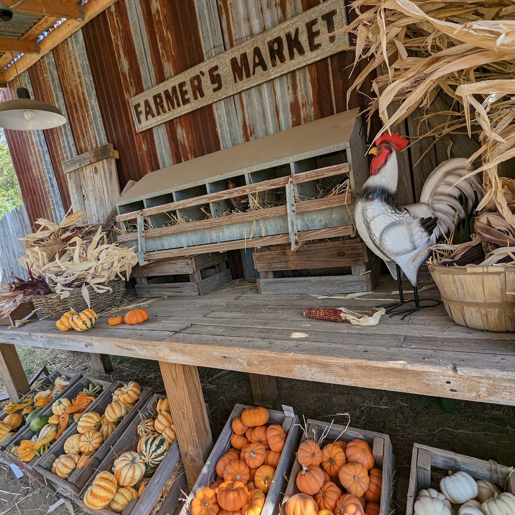 Hall's Pumpkin Farm 3