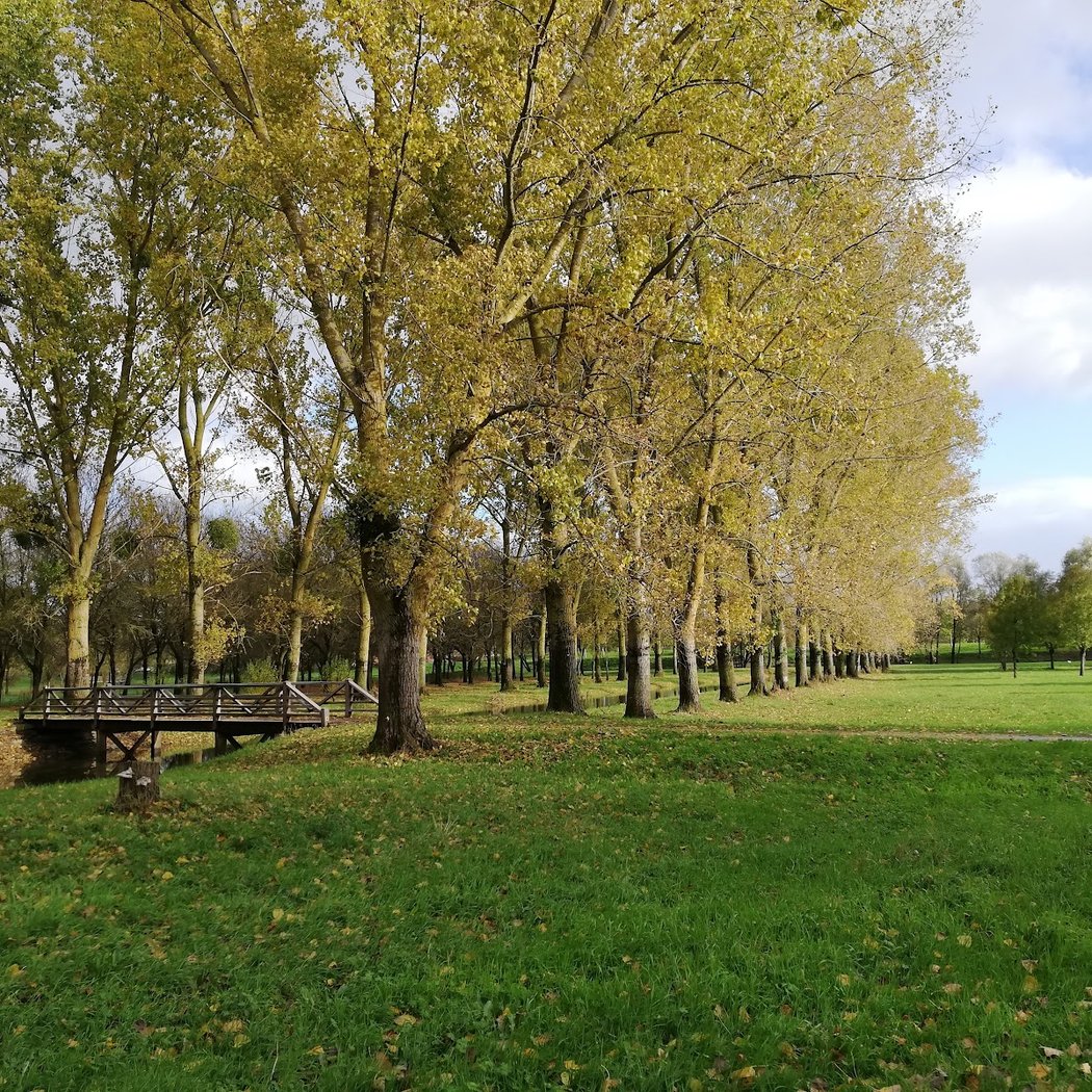 Balzac Park 1
