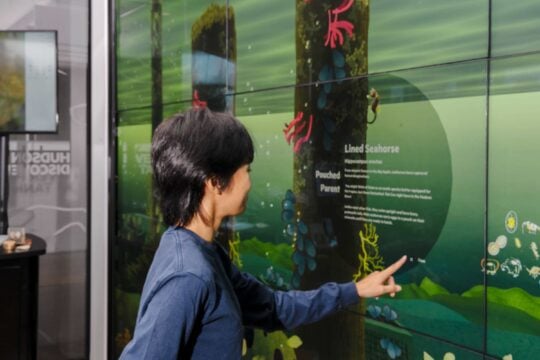 Guided Gallery 1