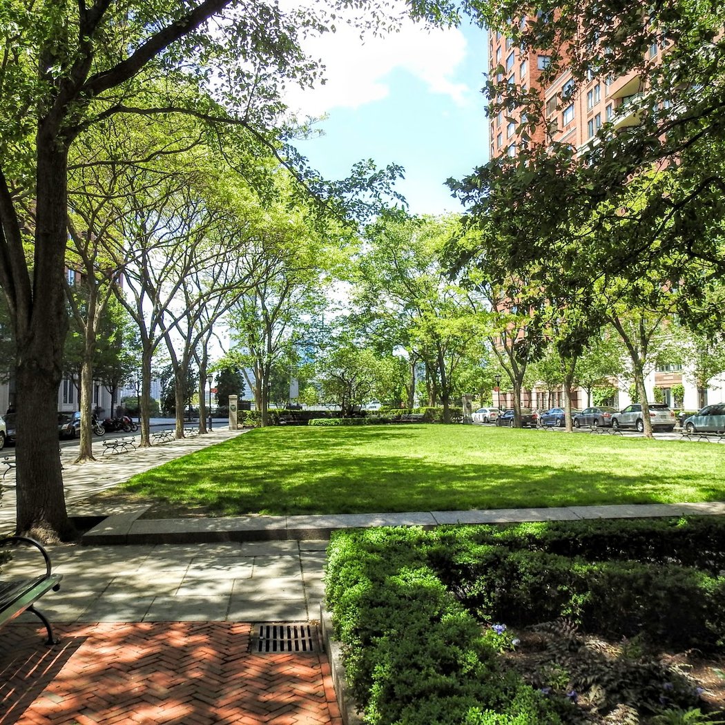 Rector Park 2