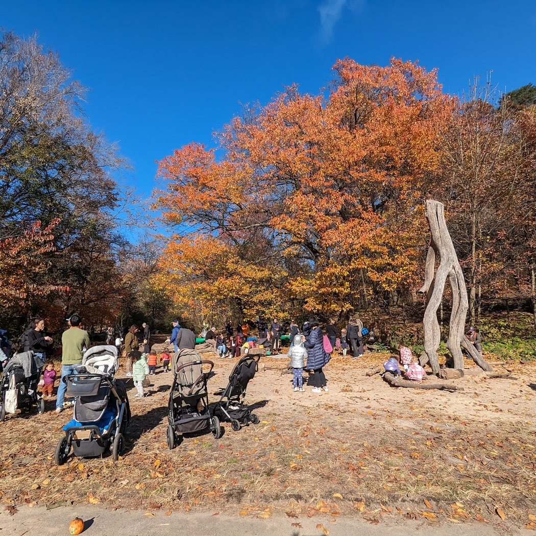 The Donald And Barbara Zucker Natural Exploration Area 1