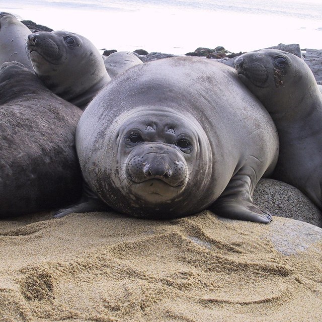 Point Reyes National Seashore 1