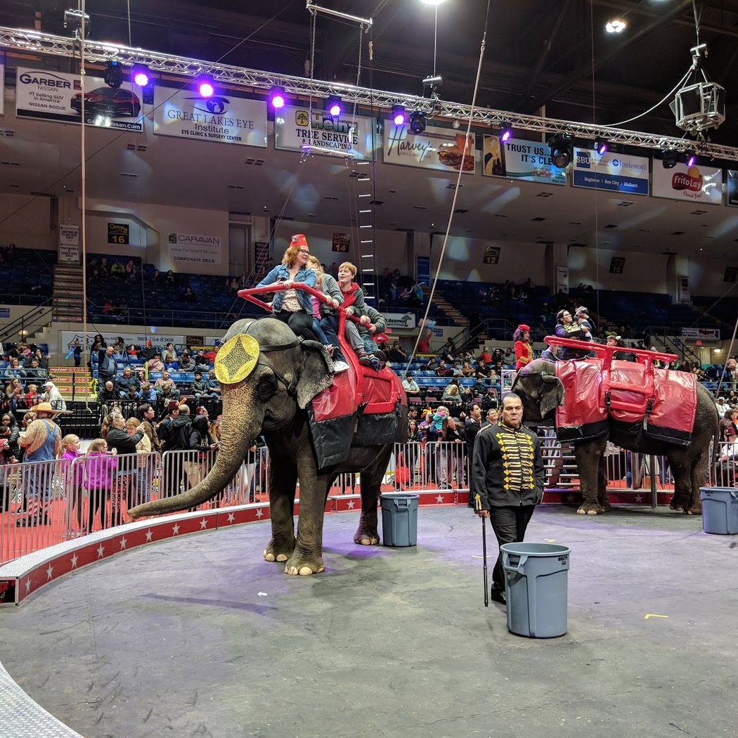 Carden International Circus 2
