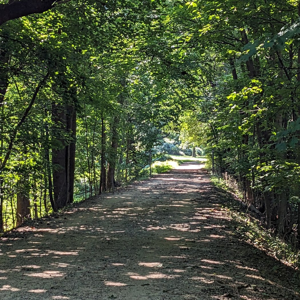 Dobbs Ferry Library Storywalk 1