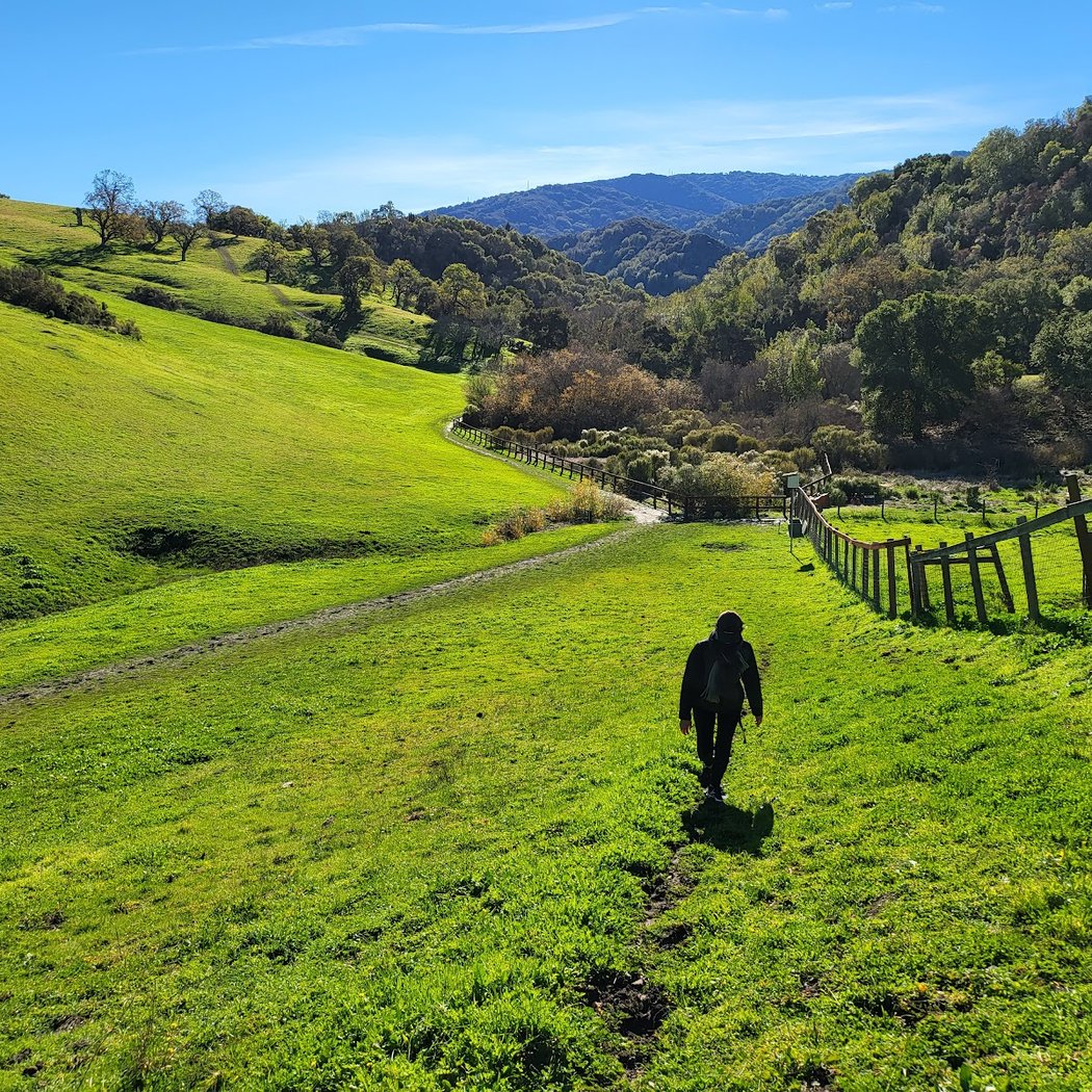 Regenerative Leadership: Taming Your Inner Critic with Horses 2