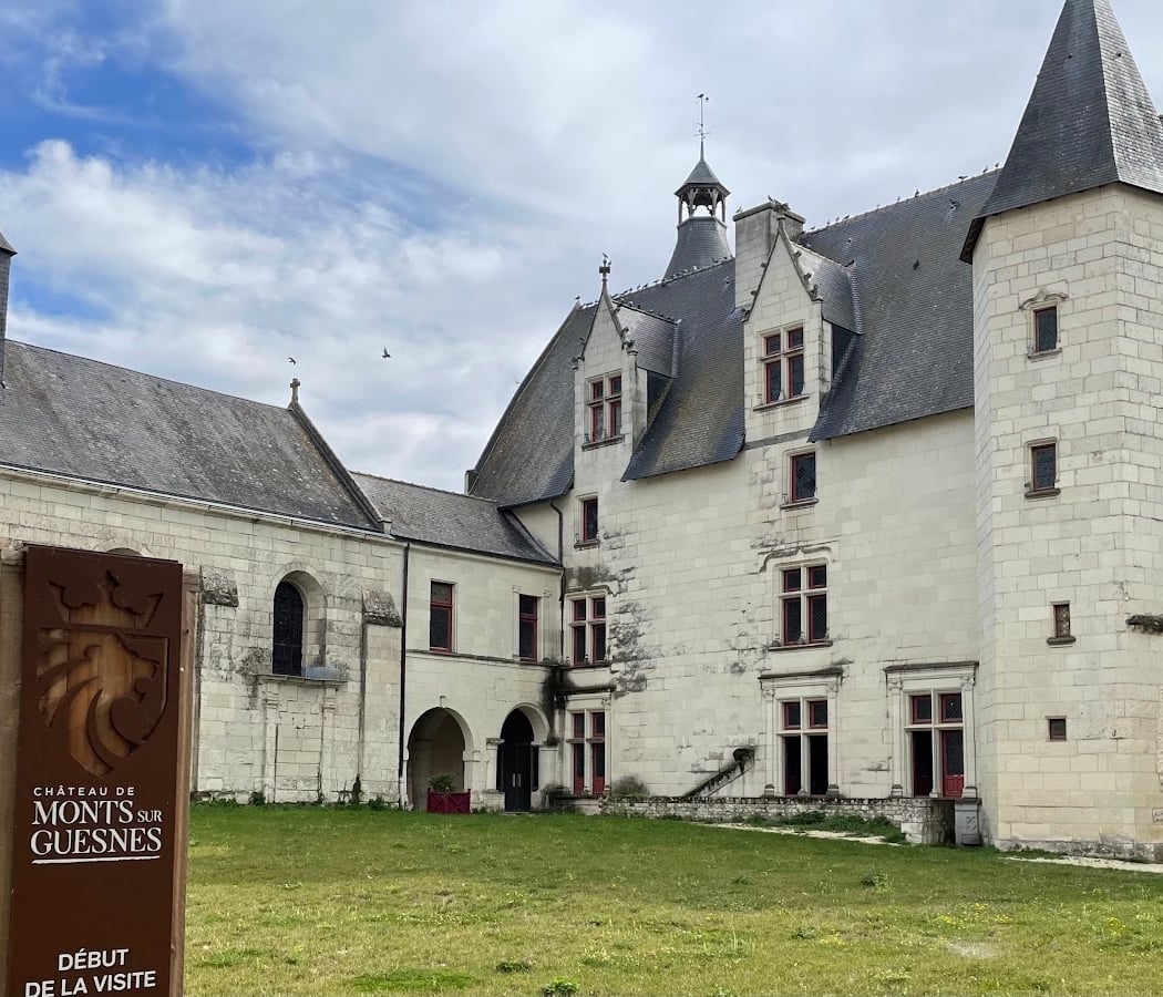 Château de Monts sur Guesnes 3