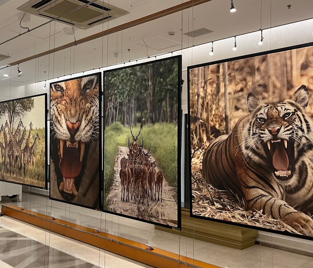 Sublime Galleria 1