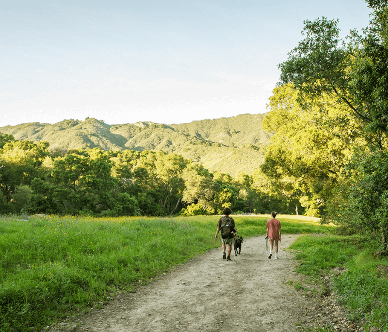 Las Trampas to Mt Diablo Regional Trail 1