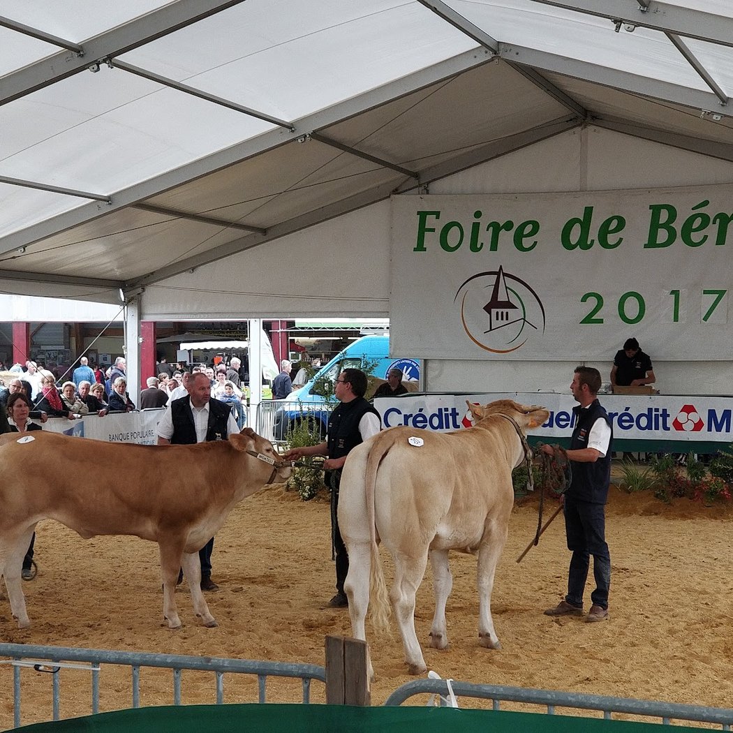 Foire de Béré 1
