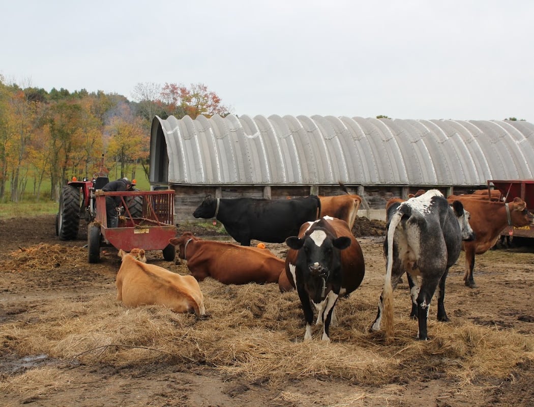 Eastleigh Farm 3