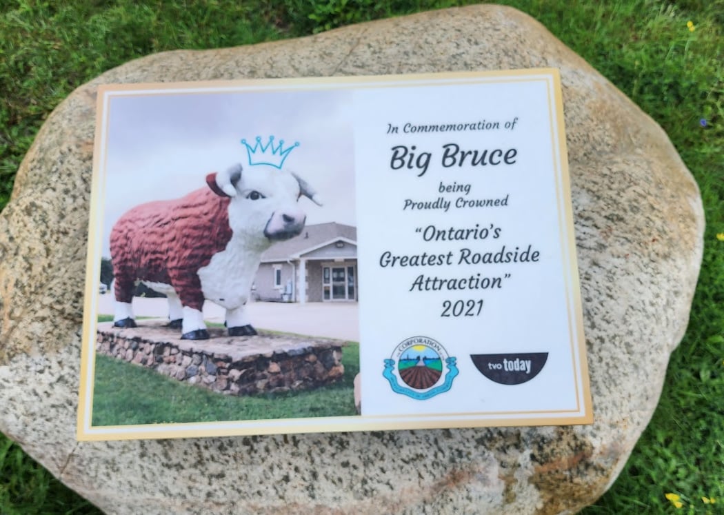 Big Bruce 3