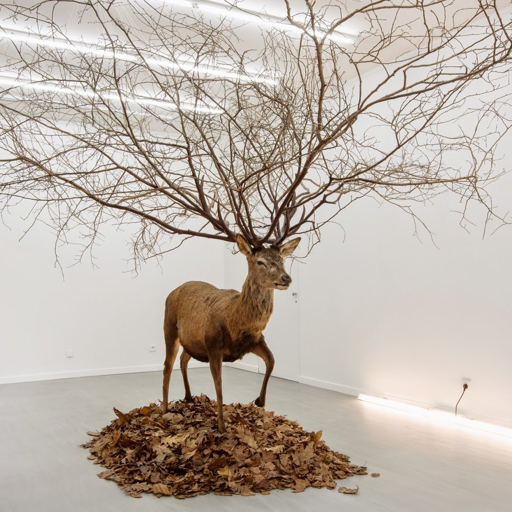 Of encounters and other collective readings 1