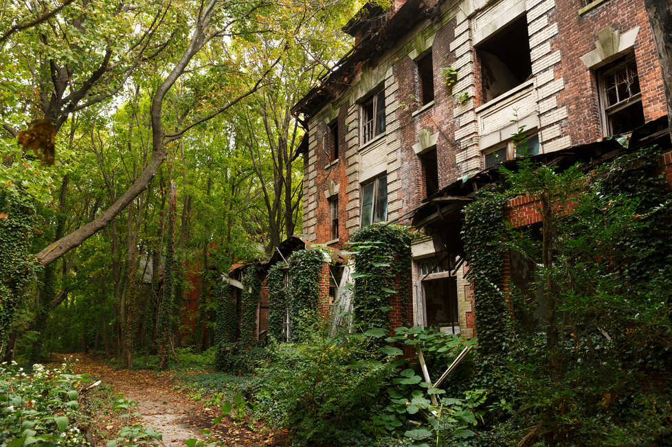 North Brother Island 1