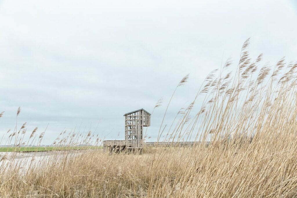 Loire estuary 2