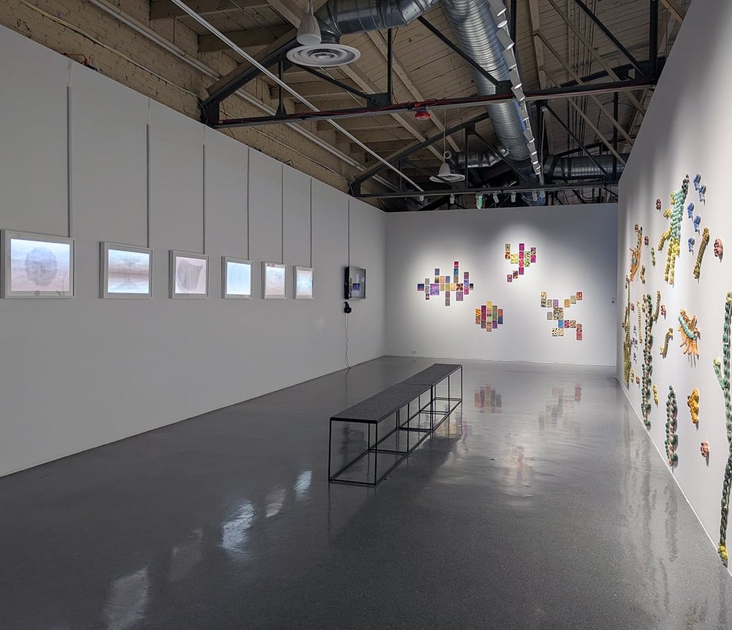 Collective Nouns: MSU Denver Faculty and Staff Exhibition 2
