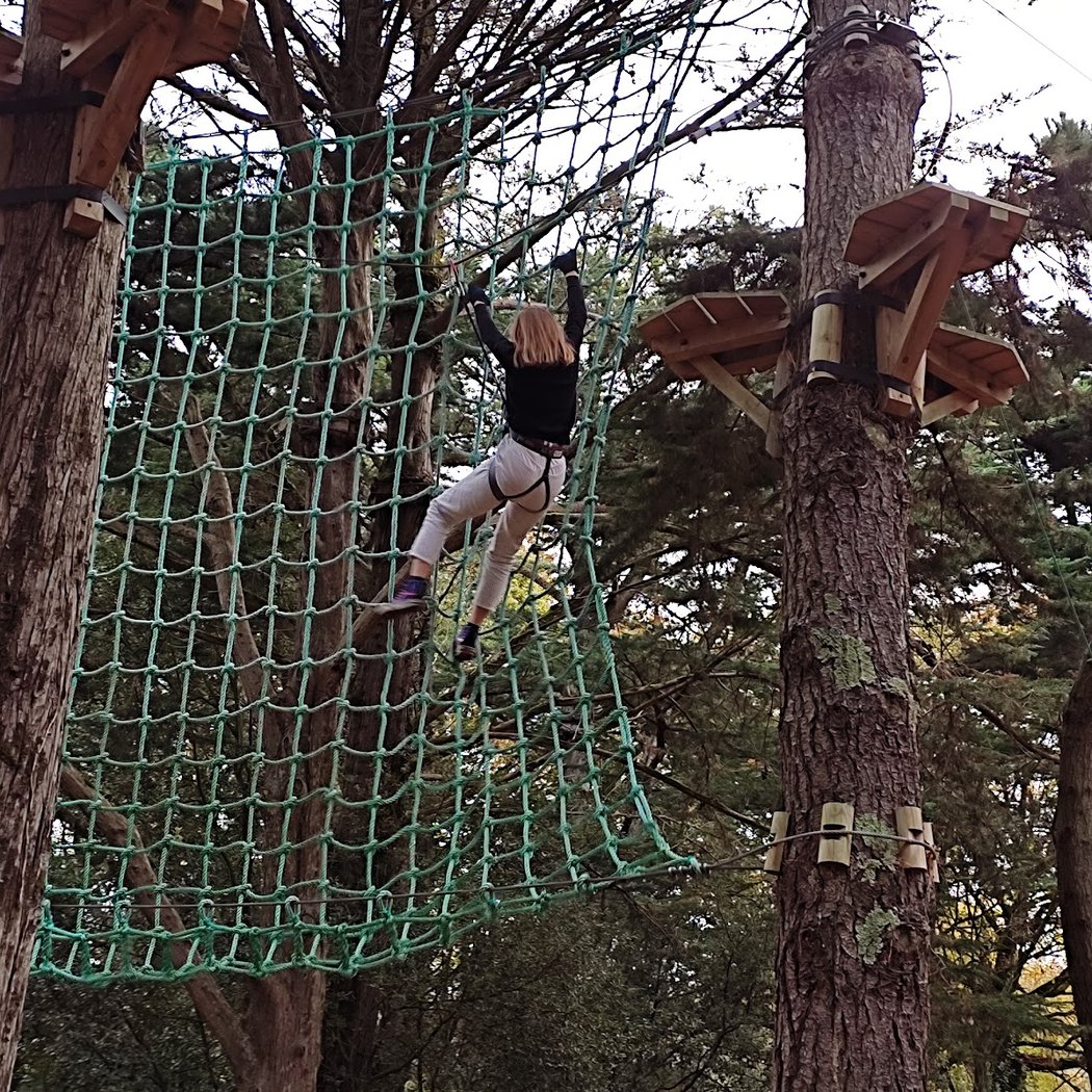 Piriac Adventure tree climbing 3