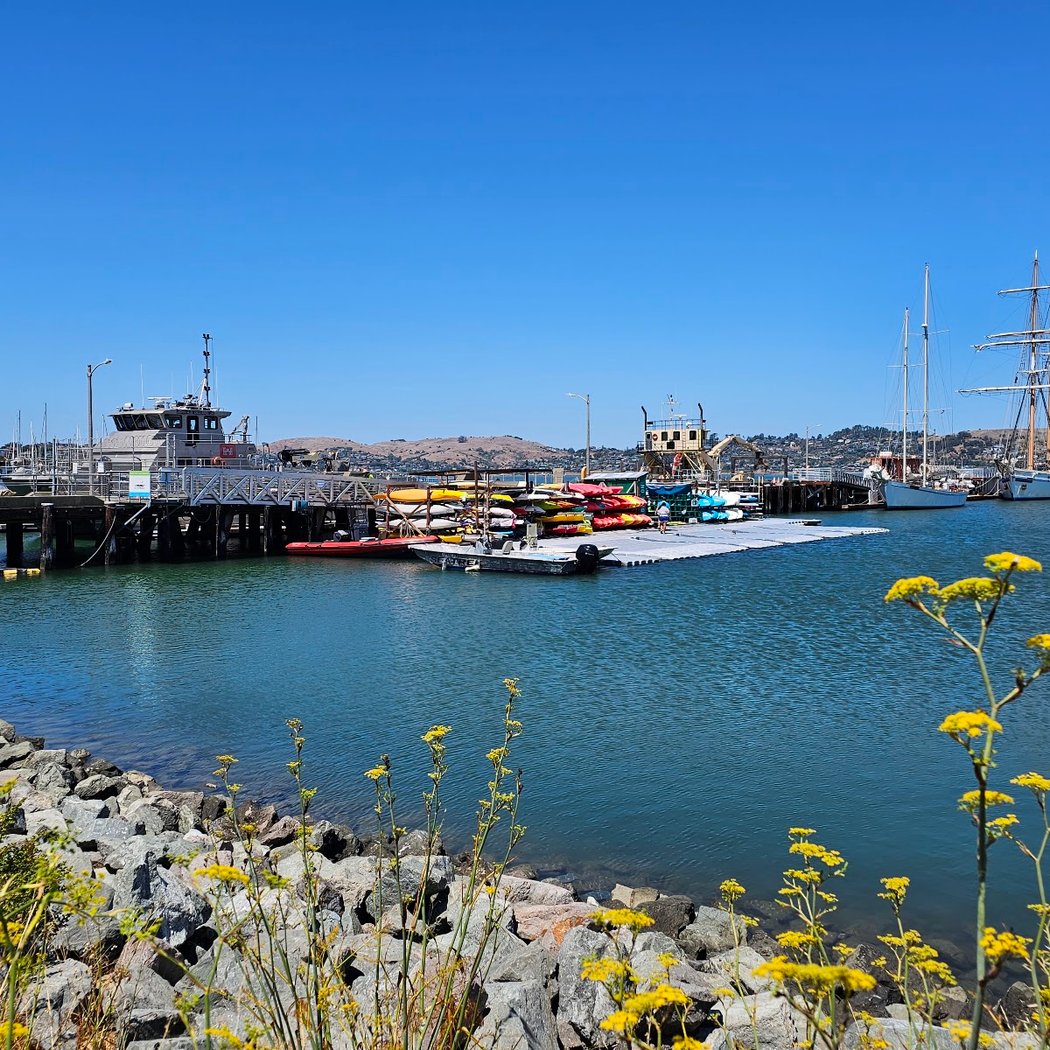 Tall Ship Celebration 1