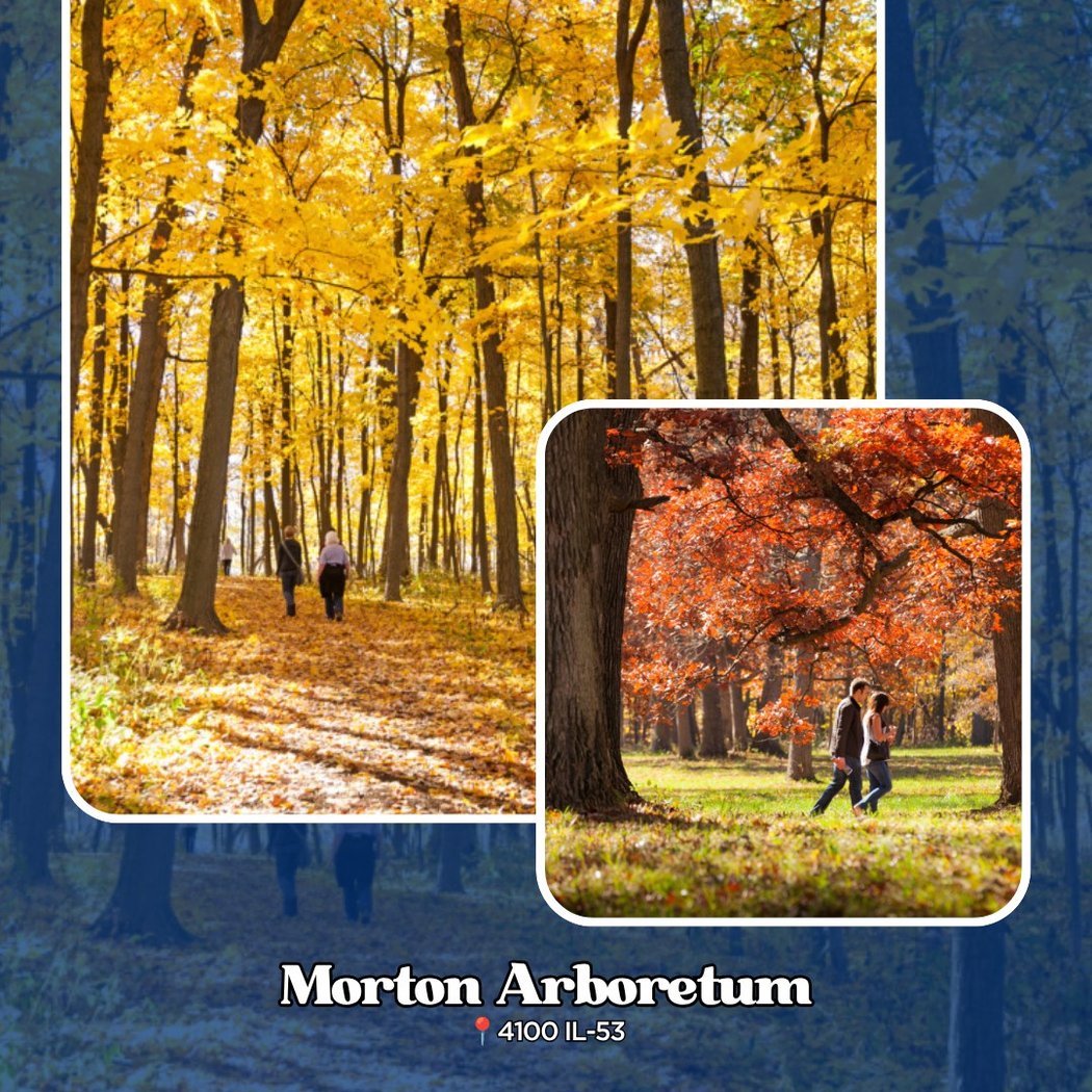 The Morton Arboretum 1