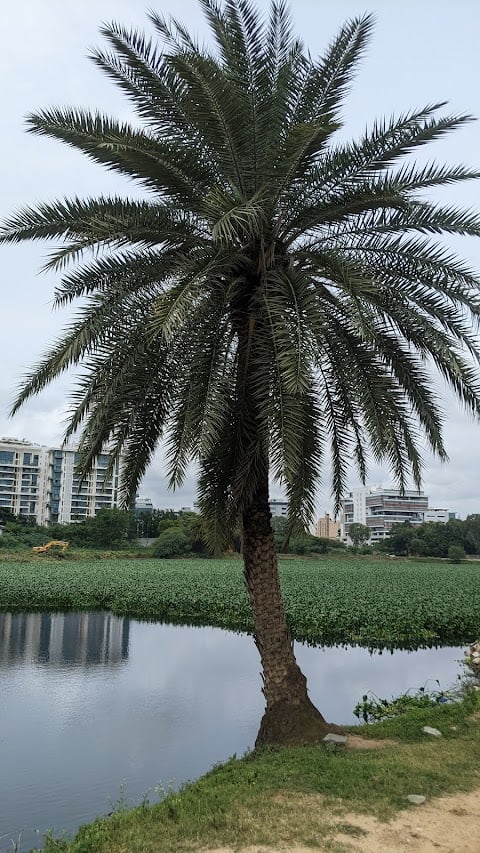 Hoodi Lake 1