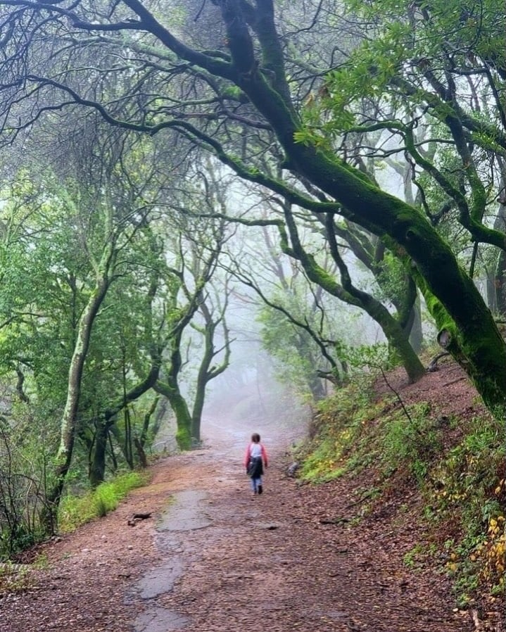 Leona Canyon Regional Open Space Preserve 1