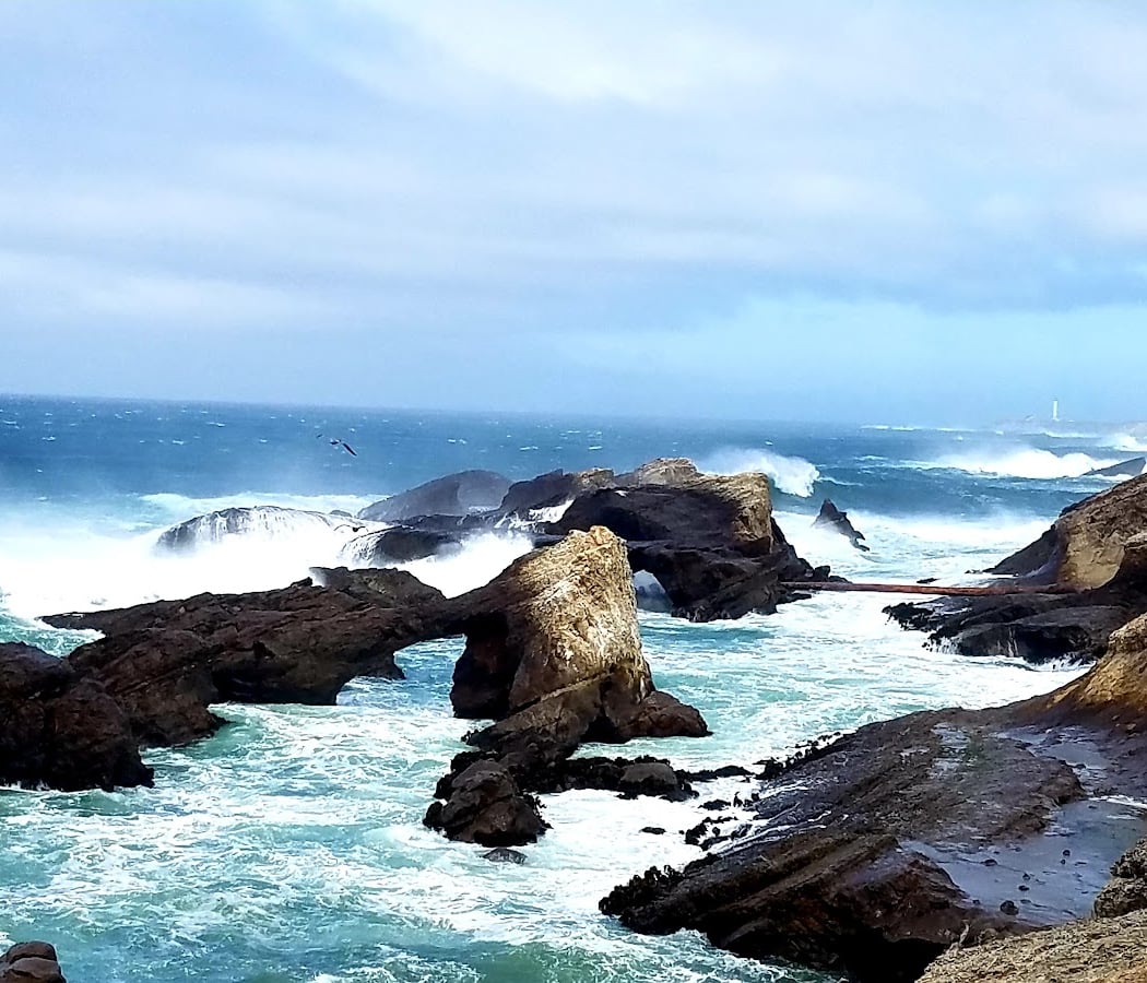 Mendocino County 2