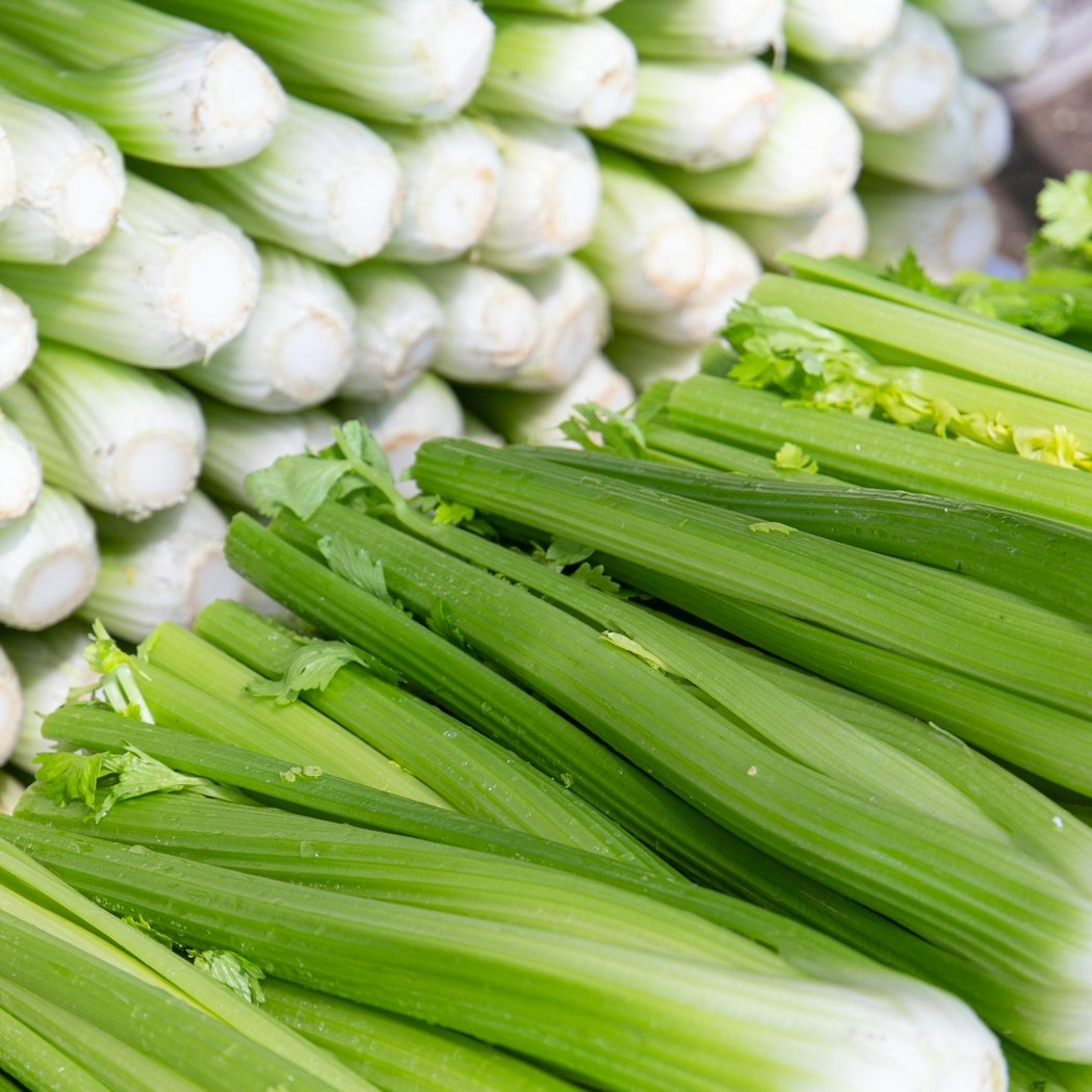 Mercadito — MHP 1
