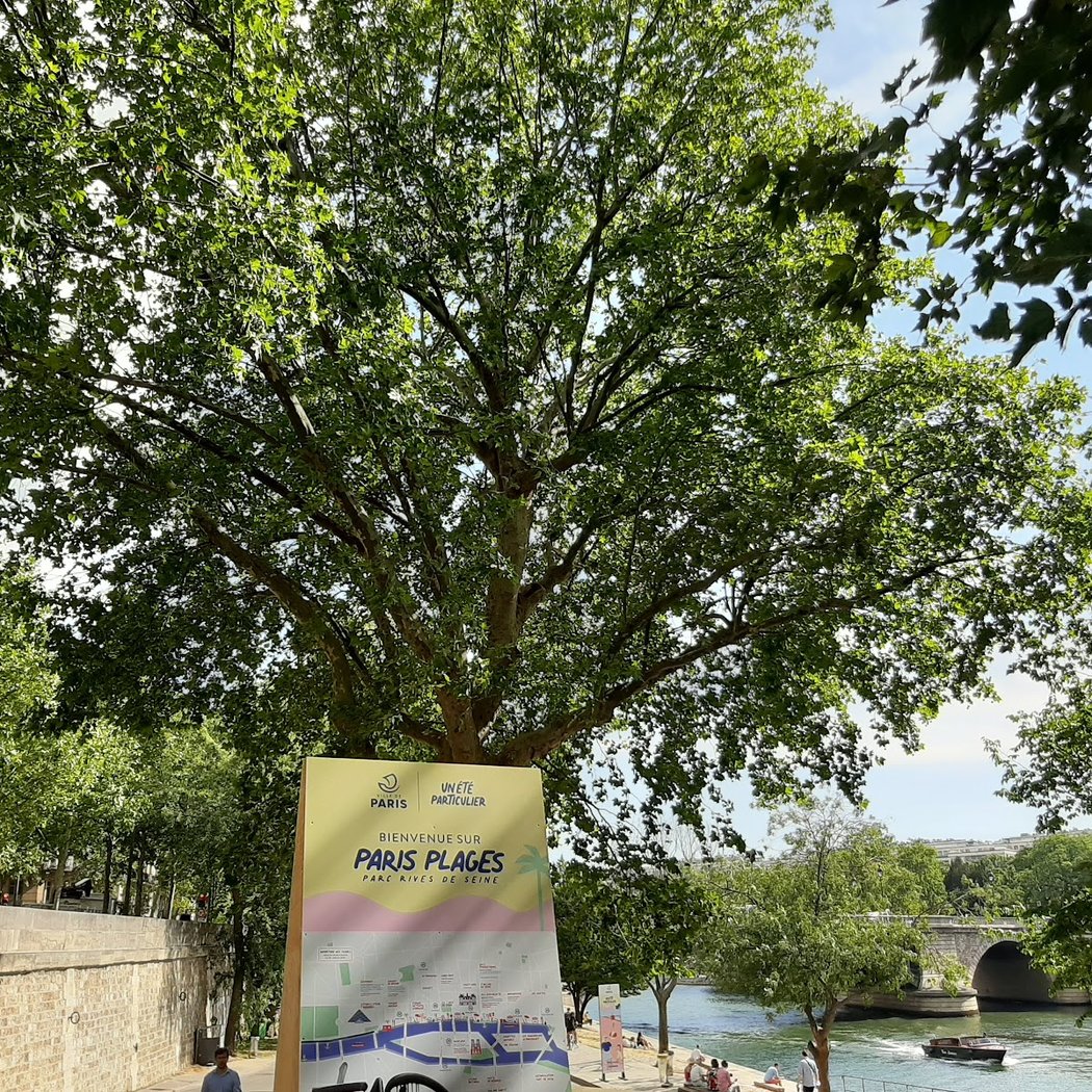 Paris Plages Film Festival 1