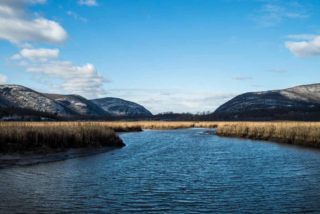 Marshlands Conservancy 2