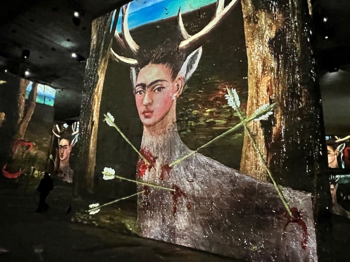 Expo Frida Kahlo 1