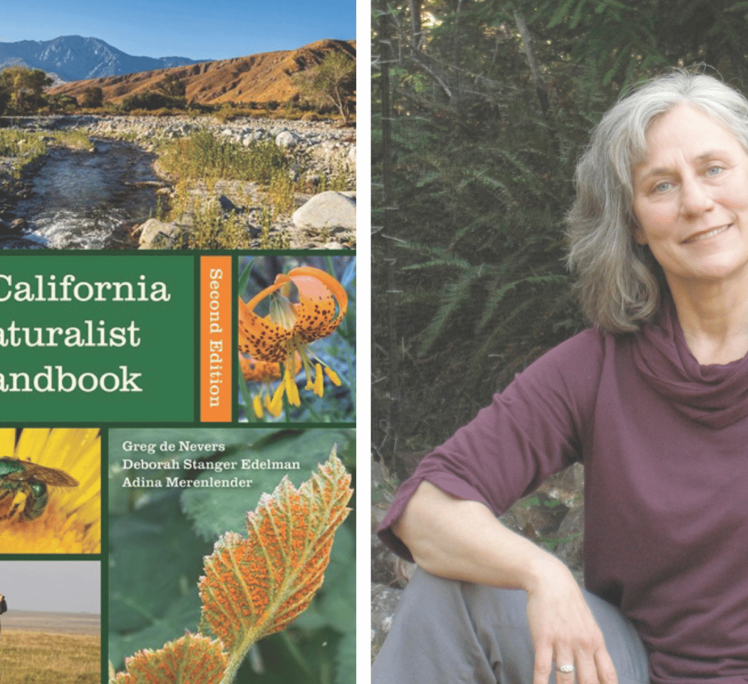 The California Naturalist Handbook 1