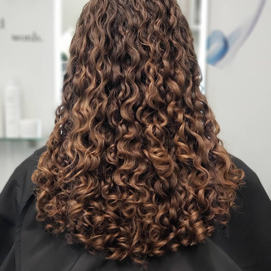 dbs Salon 2