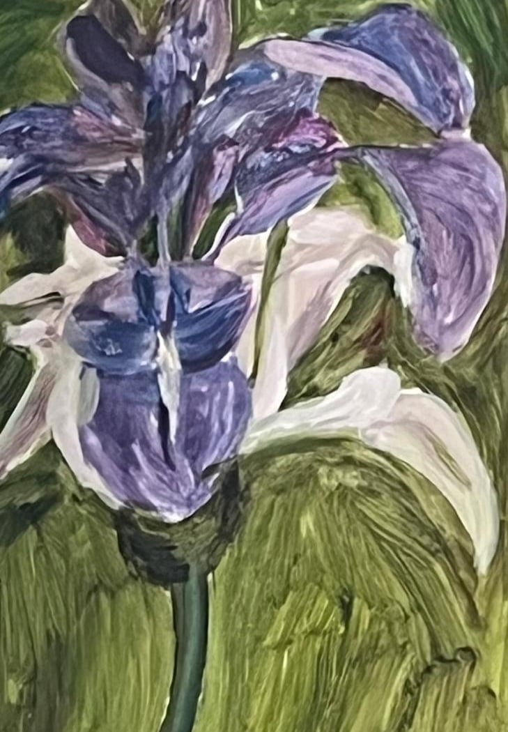 Cours d’aquarelle (tous niveaux) de Michaela Sanson-Braun 1