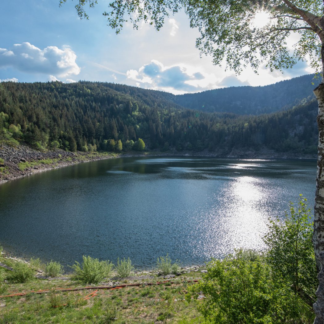 Lac Noir 2